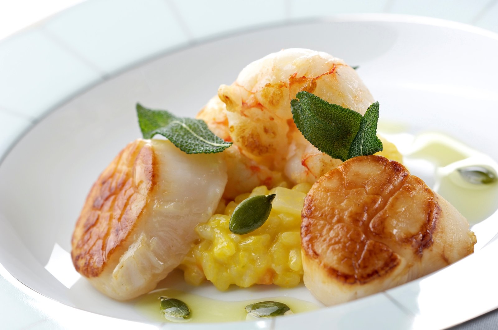 Golden-seared sea scallops served over a vibrant yellow saffron risotto, garnished with fresh herbs in a professional culinary presentation.