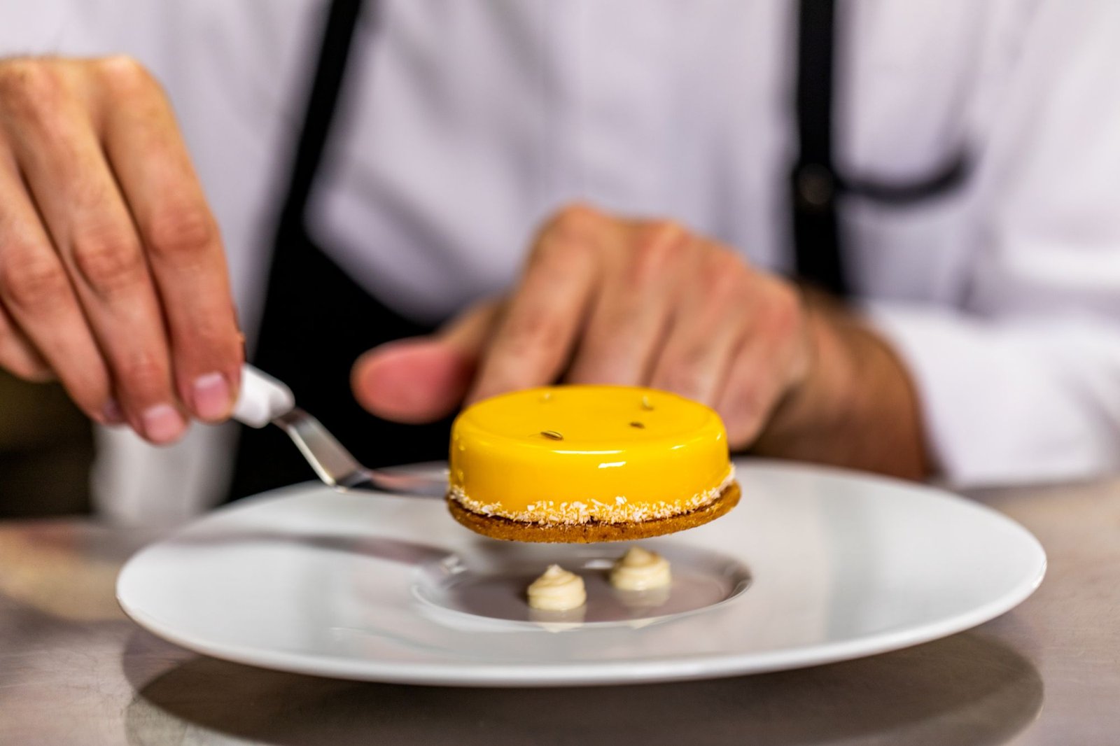 Close-up of a professional chef executing precision technical plating, demonstrating the Michelin-level standards required for Private Chefs Inc. placements within Ultra-High- Net-Worth (UHNW) households.