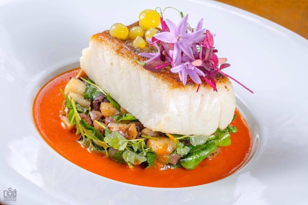 Gourmet fish dish on vegetables with red pepper sauce representing Elite Private Chef staffing for seasonal Estates in Cape cod