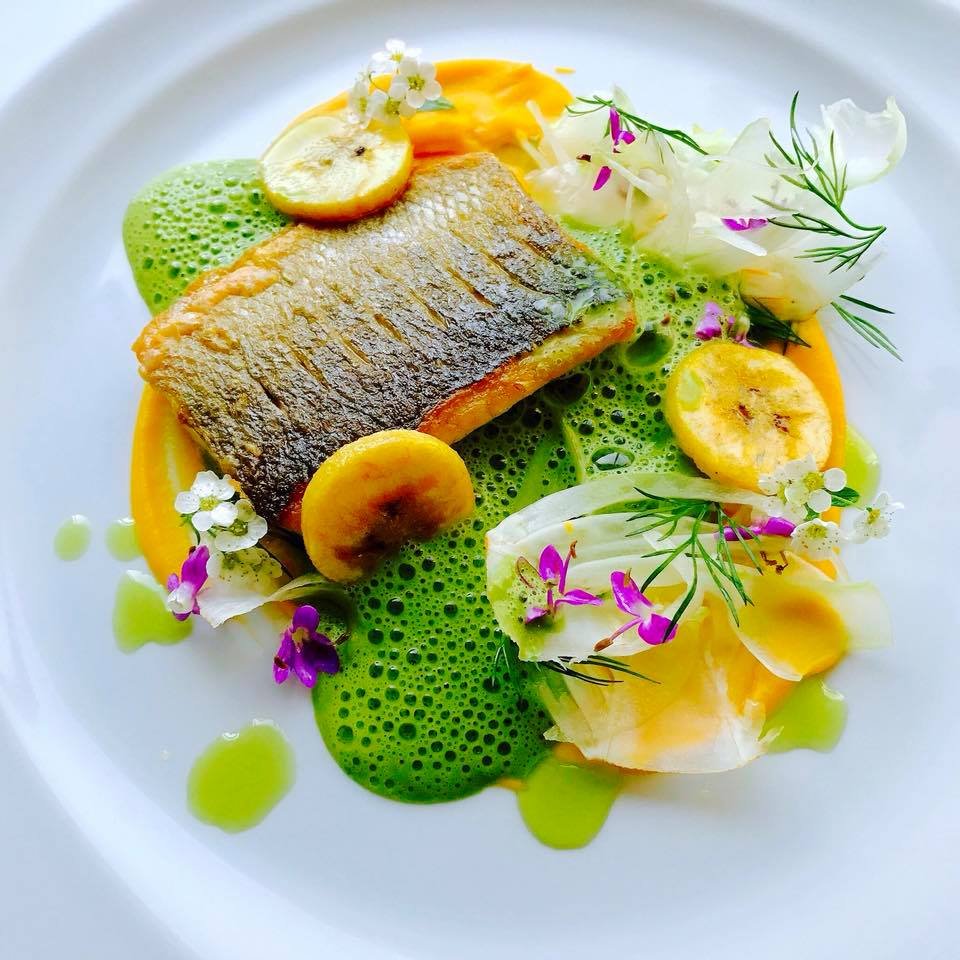 Gourmet fish dish michelin level represented elite private chef and estate staffing services