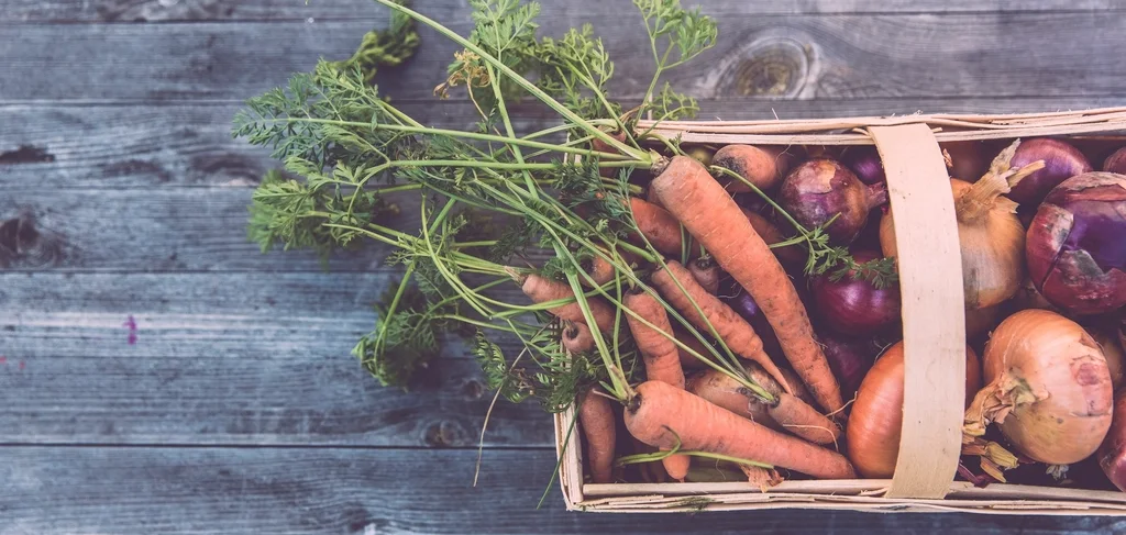Basket of freshly harvested vegetables
